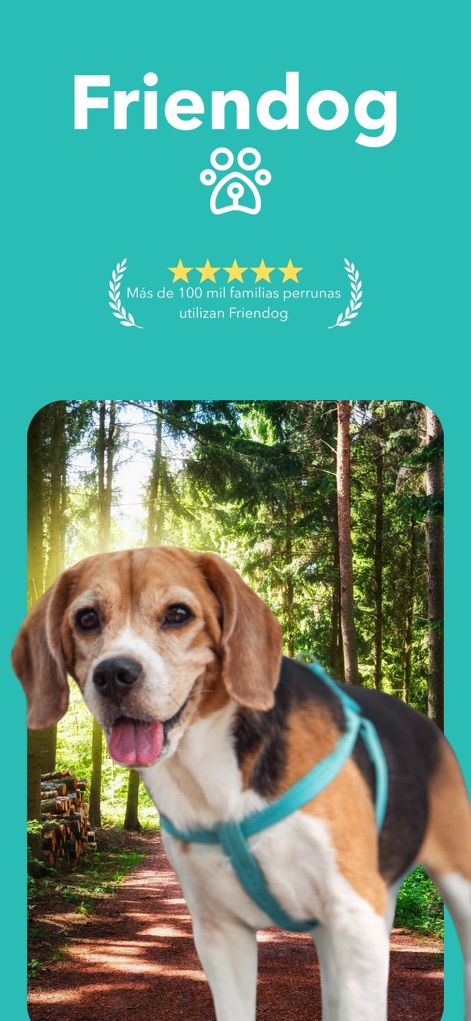 Friendog - App para perros - Lifestyle App | MWM