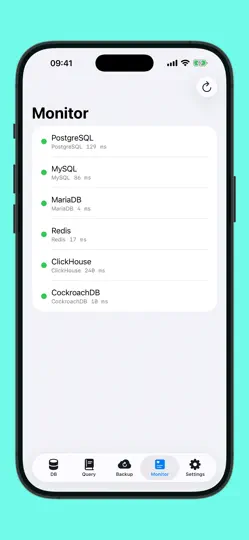 Capture d'écran de Forge Database Manager sur iPhone 6