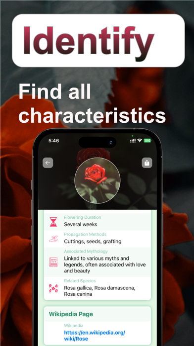 FlowerAI: Identify Flowers Screenshot