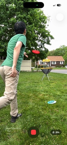 DGFormReplay screenshot