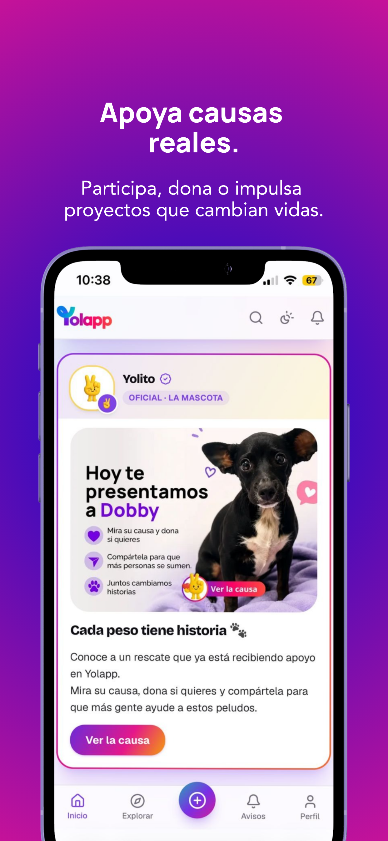 Yolapp screenshot 5