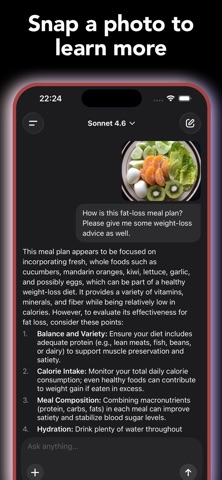Claichat: Ask AI Anytime iPhone screenshot