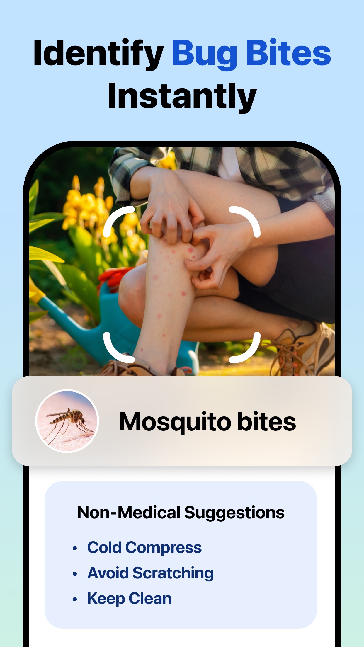 Picture Insect: Bug Identifier screenshot 5