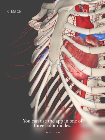Humio: 3D Human Anatomy iPad screenshot