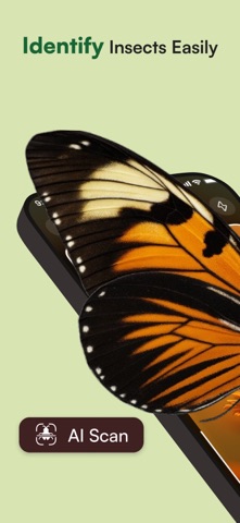 Insecto AI: Bug Identifier screenshot