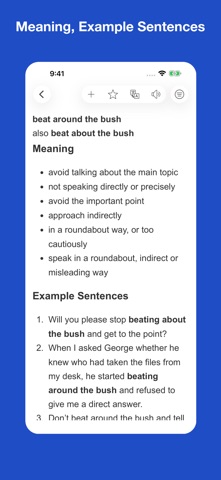 Dictionary of Idiom Origins screenshot