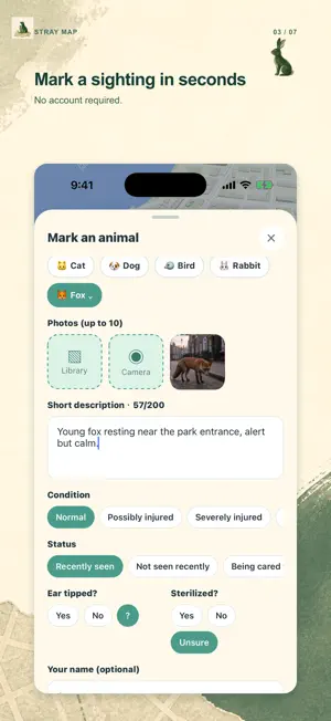 Stray Map screenshot 4