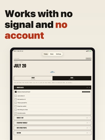 Tidecard: DBT Diary Card iPad screenshot