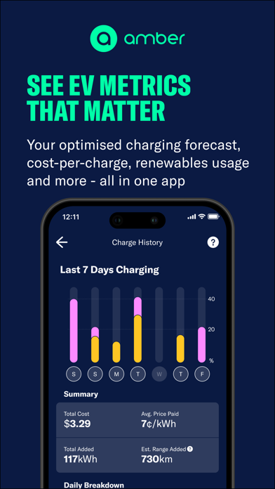 AmberElectric