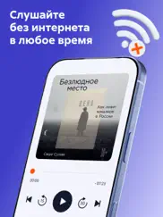 Литрес: Аудиокниги онлайн айпад изображения 2