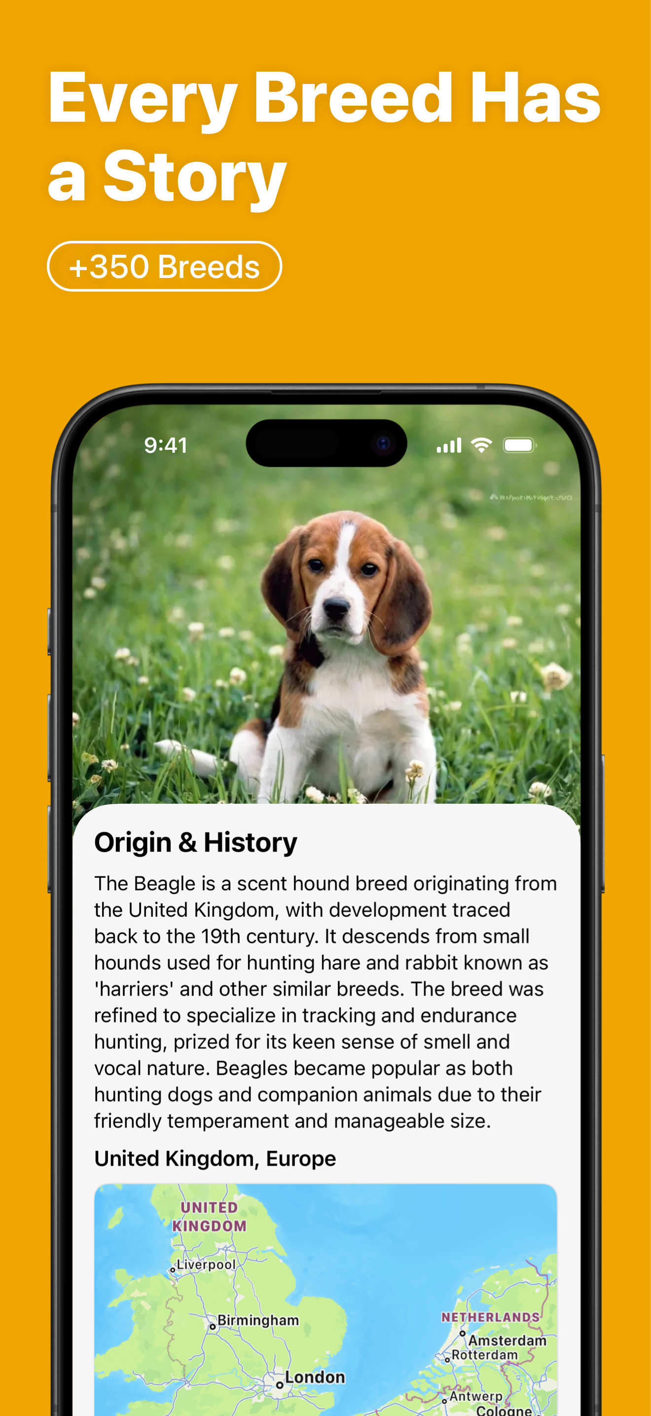 Dog Breed Scanner : Doggy screenshot 4