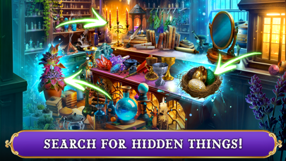 Magic City Detective: Carnival Screenshot