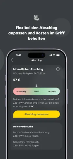 Screenshot von Mein EWE Energie auf dem iPhone 4