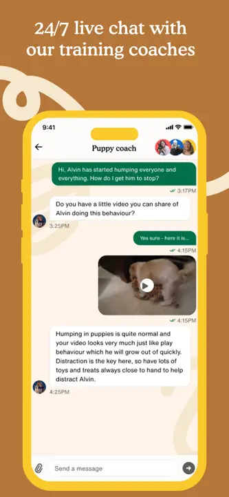 Zigzag: Screenshot 5 von 8