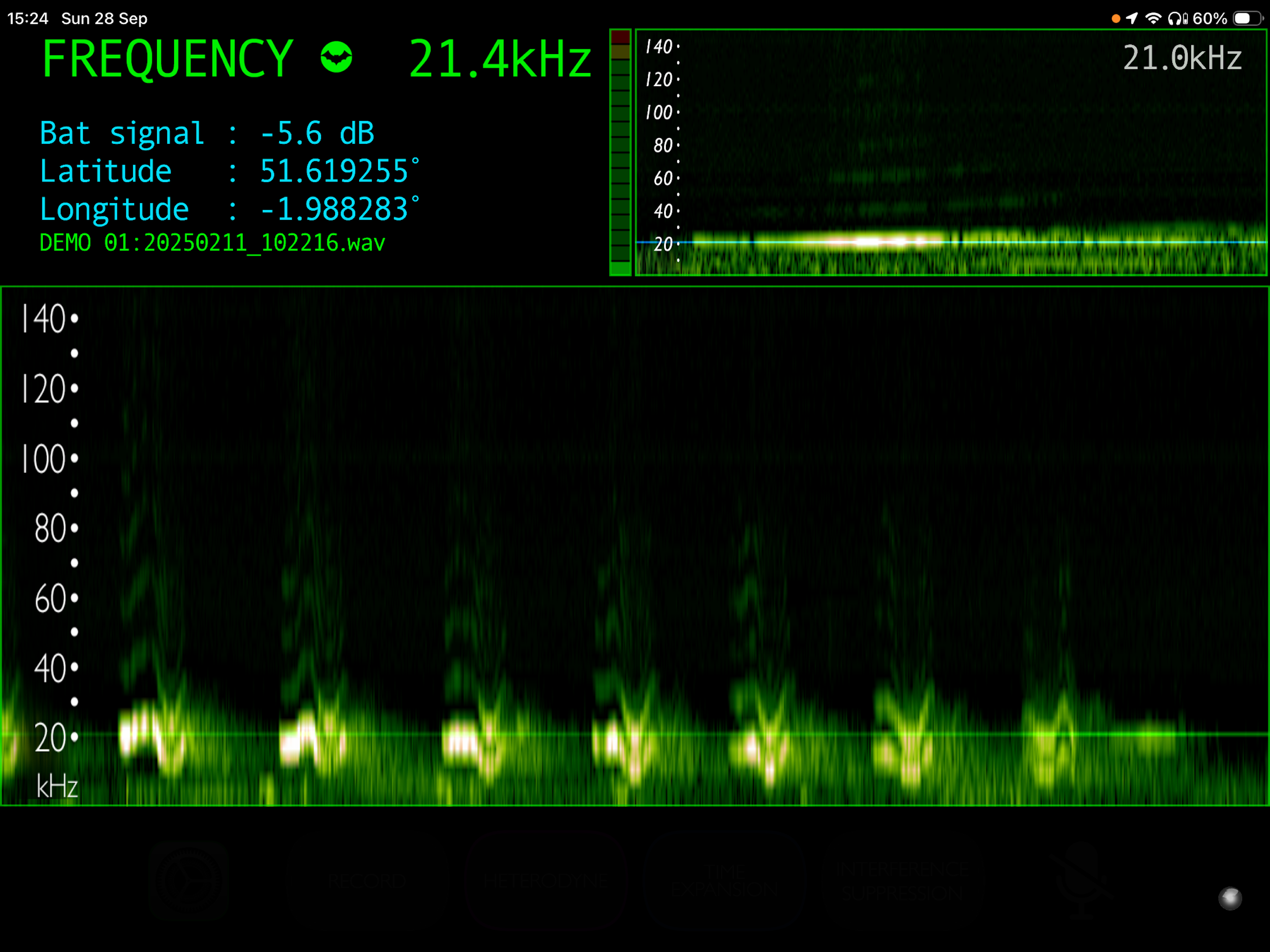 Bat Detector