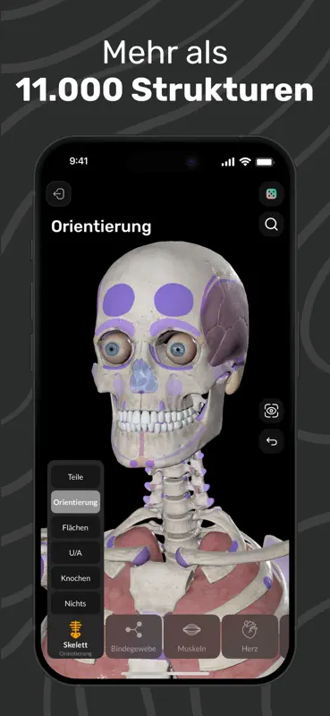 Easy Anatomy 3D mit Sprach-KI screenshot 3 of 9