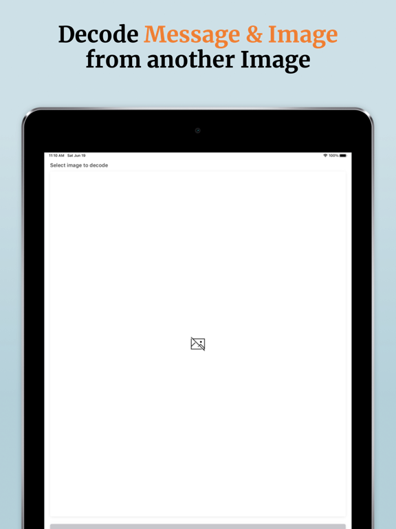 Steganography: Hidden Message iPad screenshot 2 - Utilities app