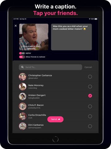 ReactApp: See Their Reaction iPad screenshot