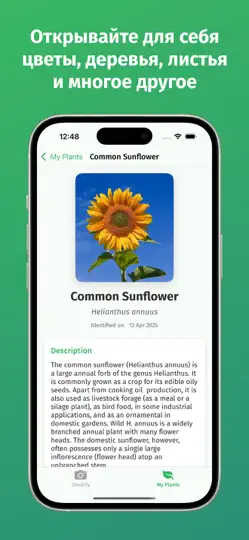 Скриншот Определение растений на iPhone 2