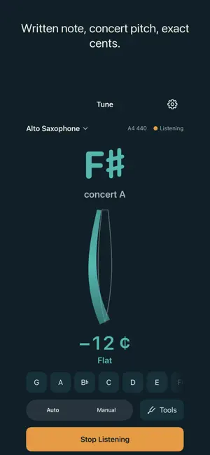 TrueTune - Violin Tuner screenshot 1