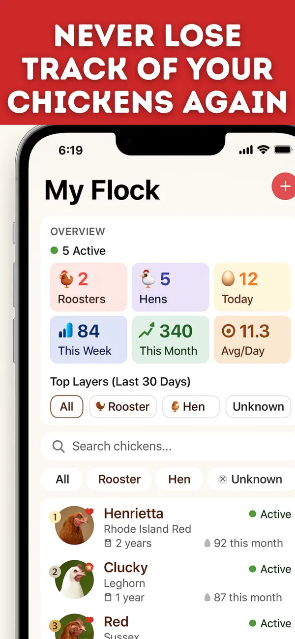 #5. chicken identifier (iOS) Ved: Nikhil Kumar