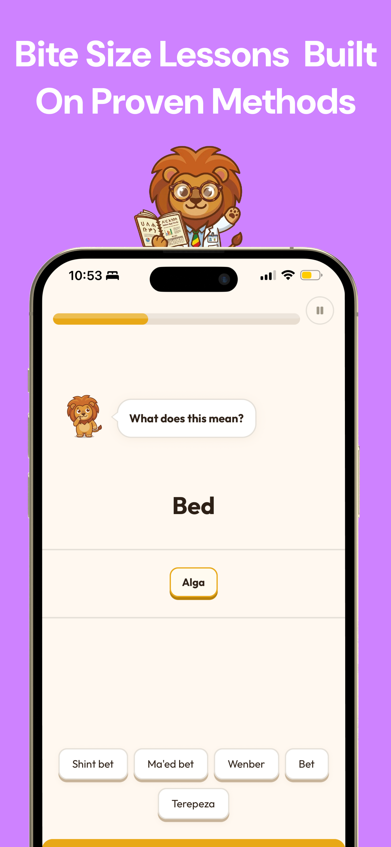 Selam: Learn and Speak Amharic screenshot 3