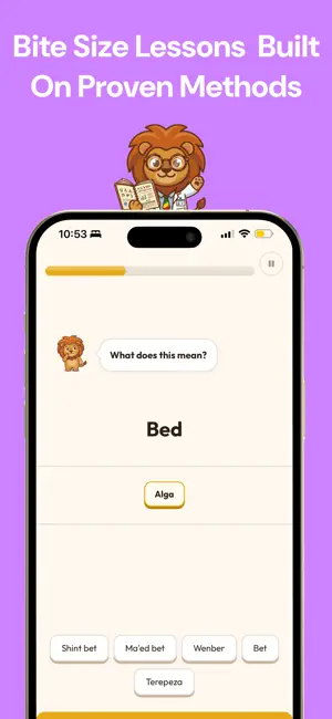 Selam: Learn and Speak Amharic screenshot 3