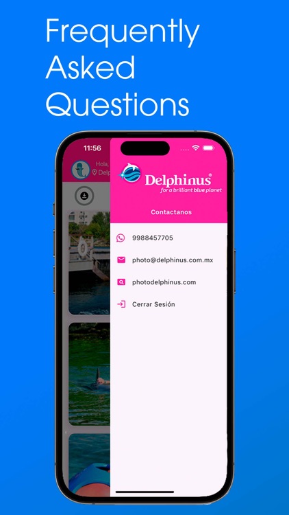 Delphinus Memories screenshot-6