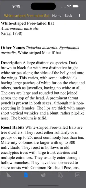 Field Guide to Australian Bats screenshot 4