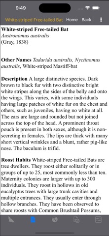 Field Guide to Australian Bats Screenshot 4 of 10