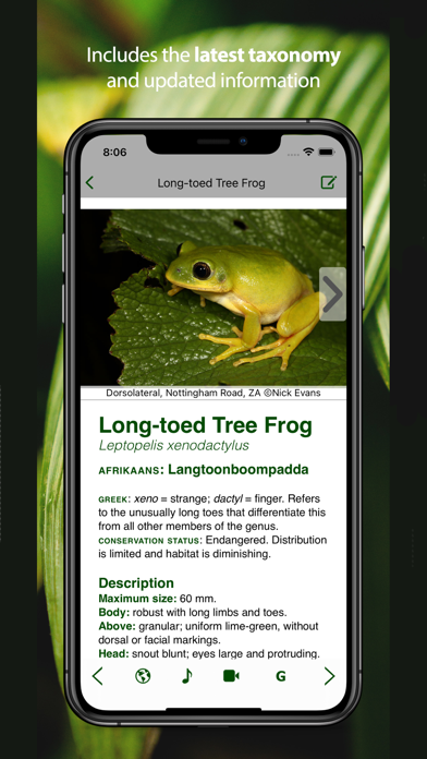 Screenshot #2 pour Frogs of Southern Africa