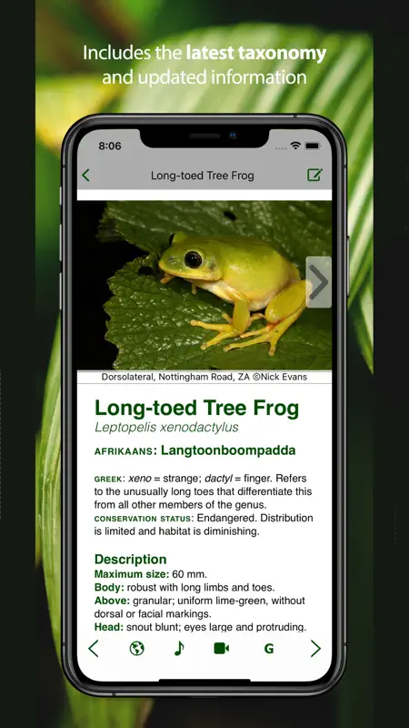 Frogs of Southern Africa screenshot 2 of 9
