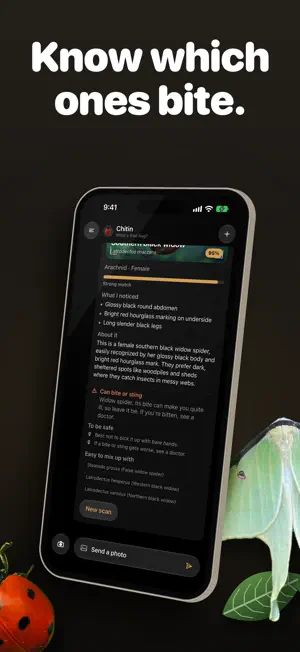Chitin: Bug Identifier screenshot 4