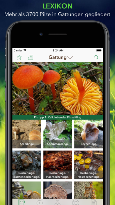 Pilze 123 Screenshot