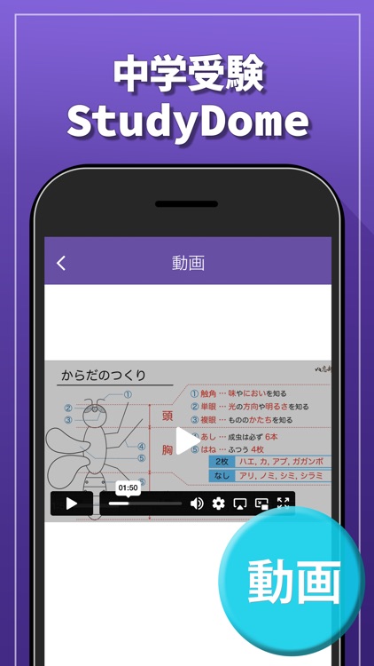StudyDome - 中学受験塾のオンライン講座