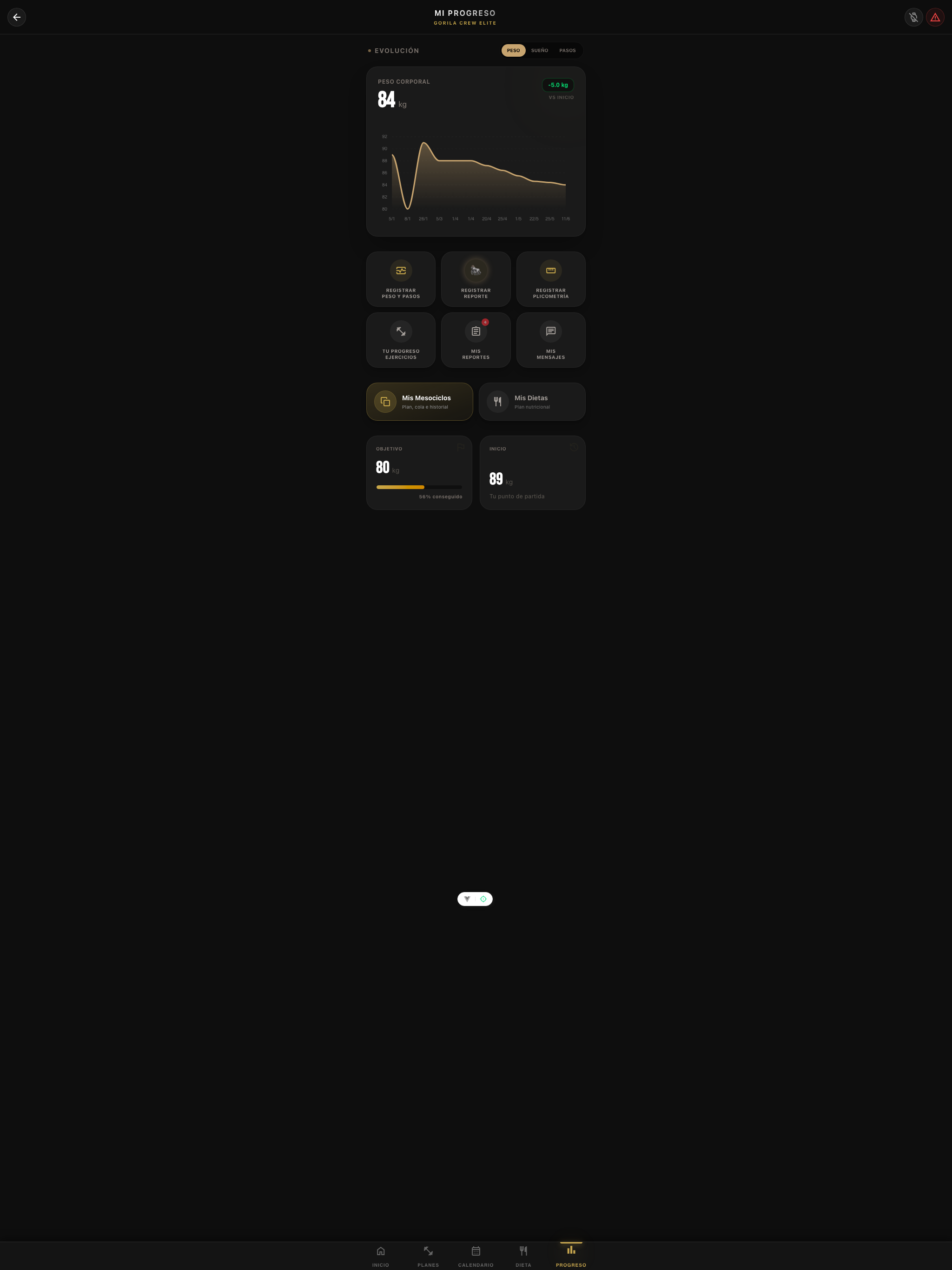 Gorila360 screenshot 11