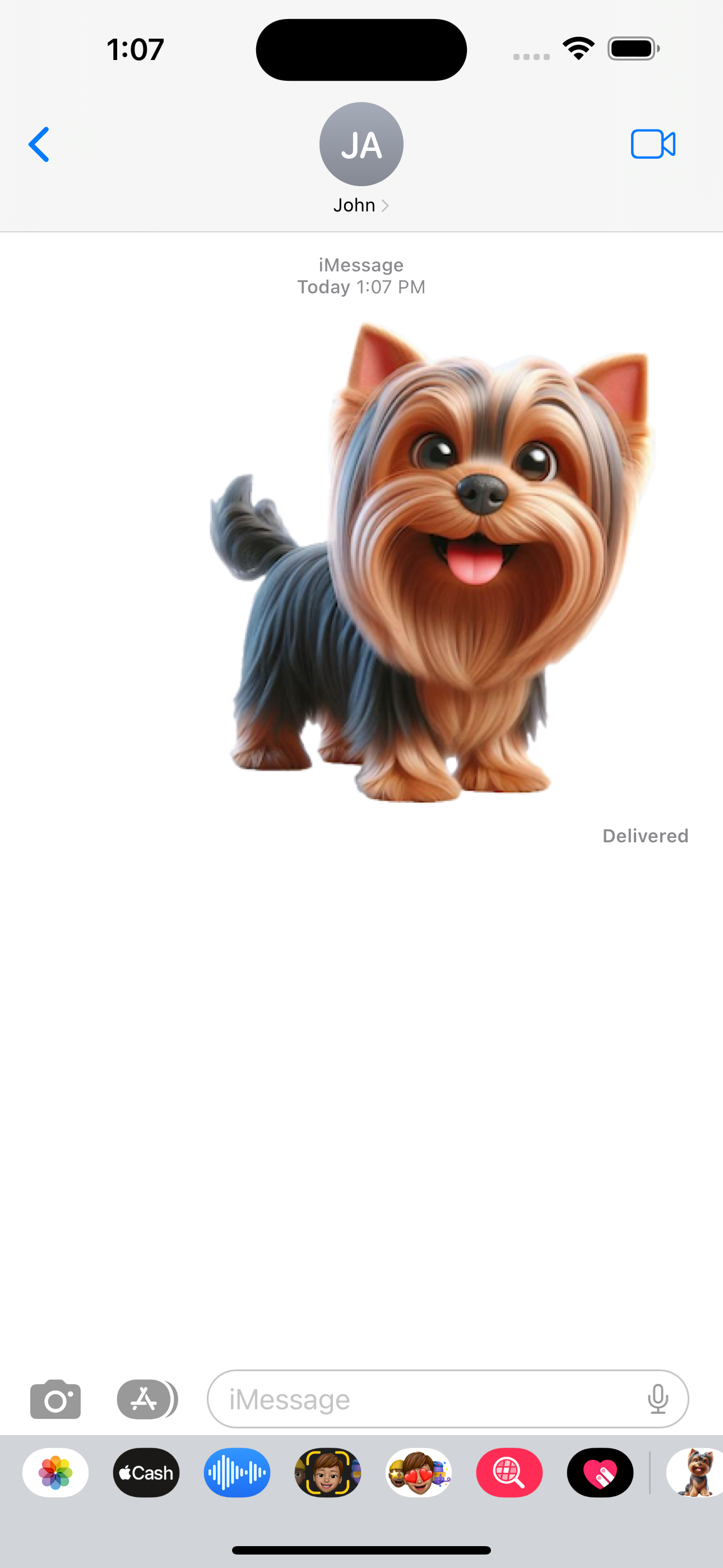 Happy Yorkshire Terrier