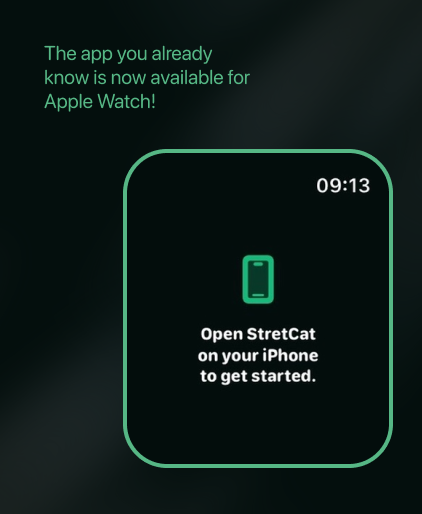 StretCat: Posture & Well-being
