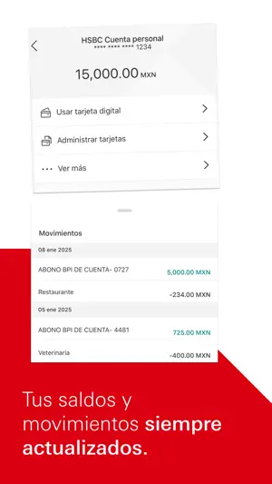 HSBC México screenshot 2