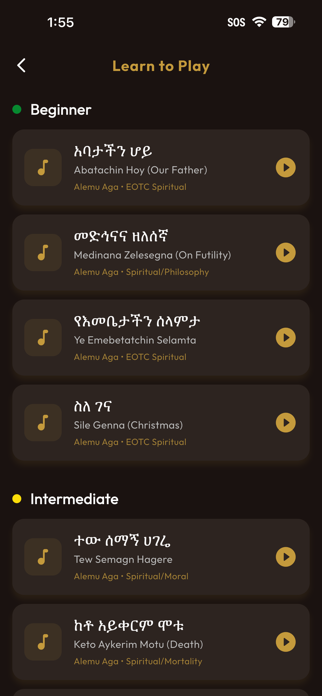 Zema Begena Screenshot 2 of 10