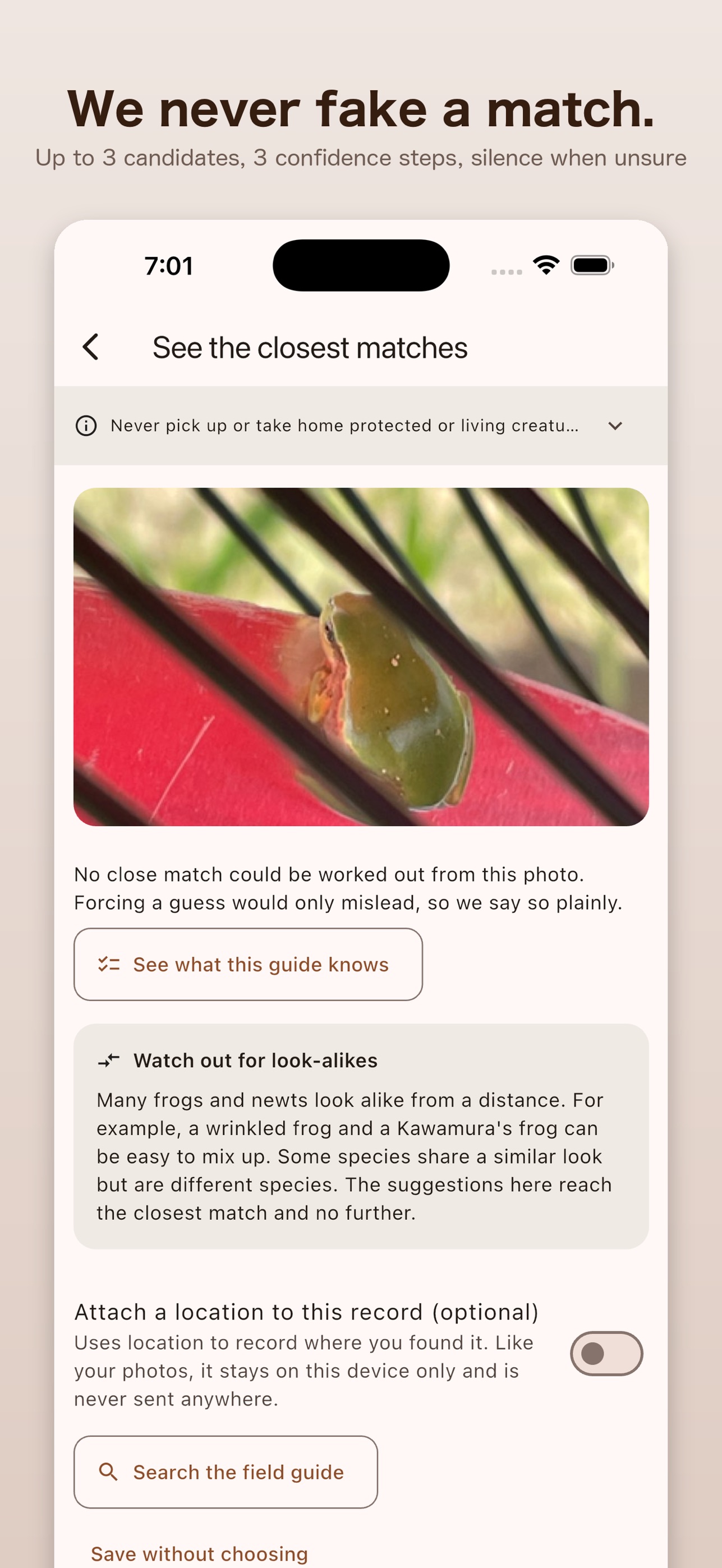 Screenshot 2 of AI Frog & Newt Identifier