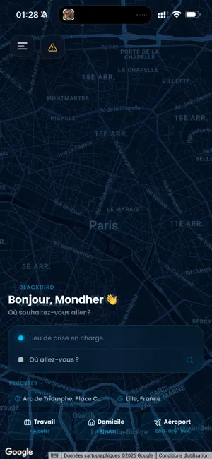 BLACKBIRD VTC screenshot 4