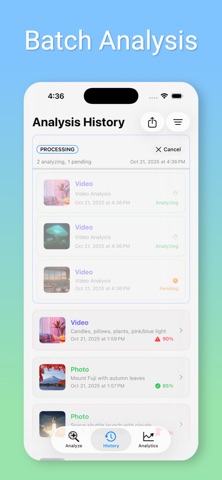 DetectAI screenshot