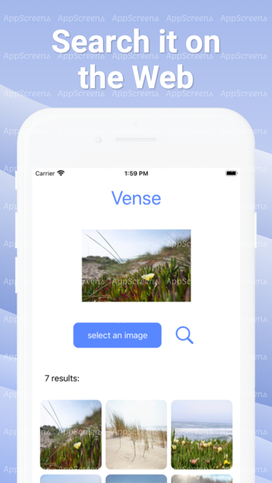 Vense Screenshot