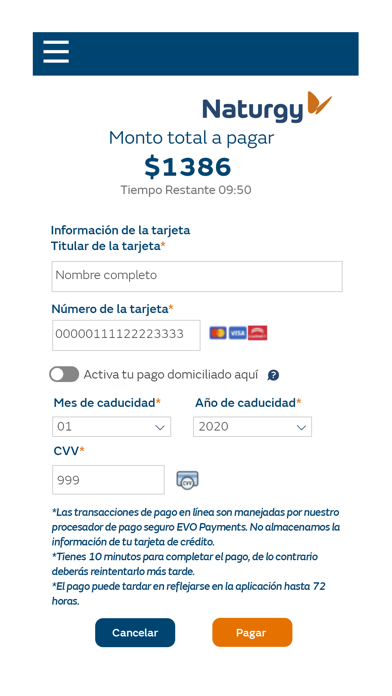Naturgy Contigo Screenshot