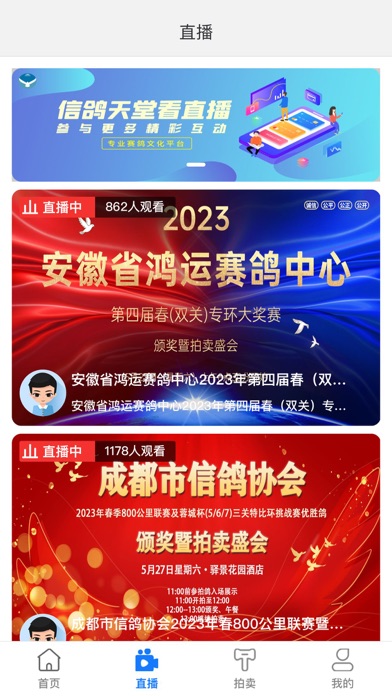 信鸽天堂 Screenshot