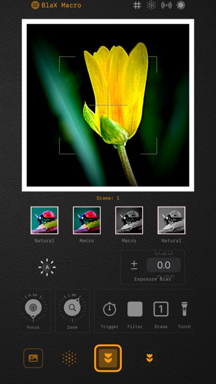 BlaX Macro Camera screenshot-5