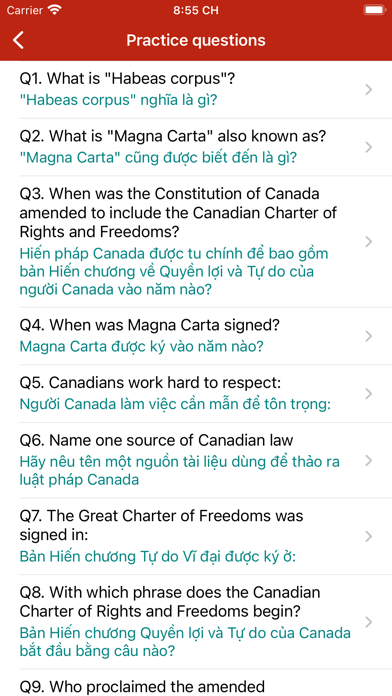 English-Vietnamese Citizenship Screenshot