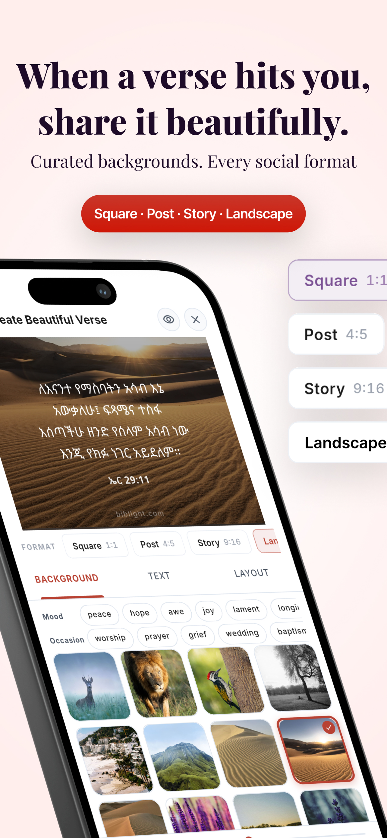 Amharic Bible, audio & study screenshot 6
