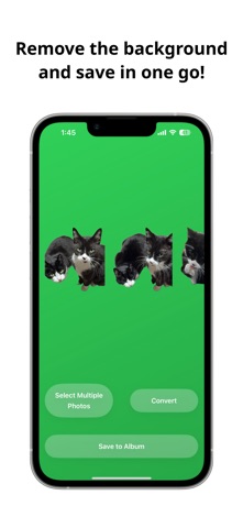 Bulk Cutout Screenshot 3 of 4